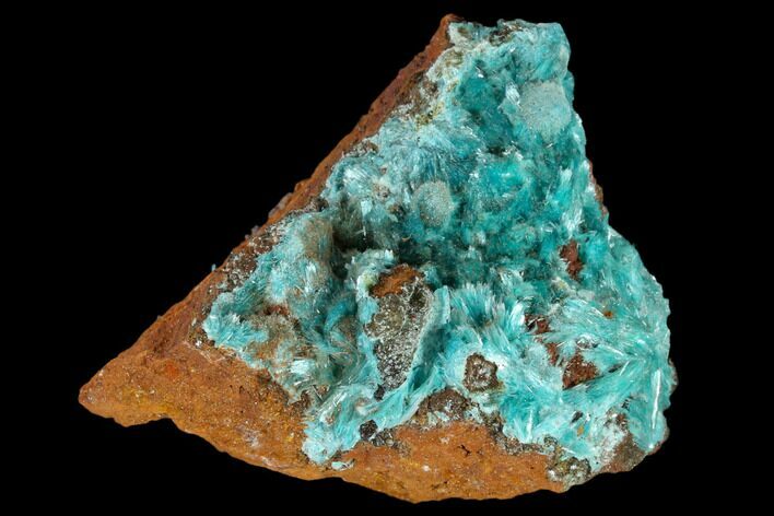 Fibrous Aurichalcite Crystal Cluster - Mexico #119150